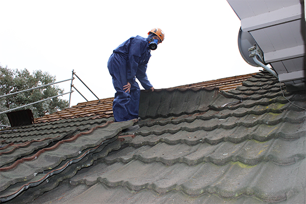 Asbestos Roof Removal 3